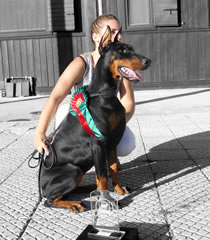 Criador Dobermann D'ik&ograve;skylo